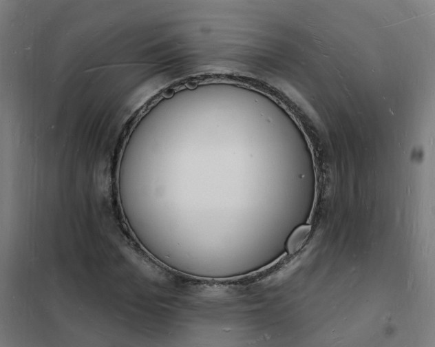 X0000101690969200807241405