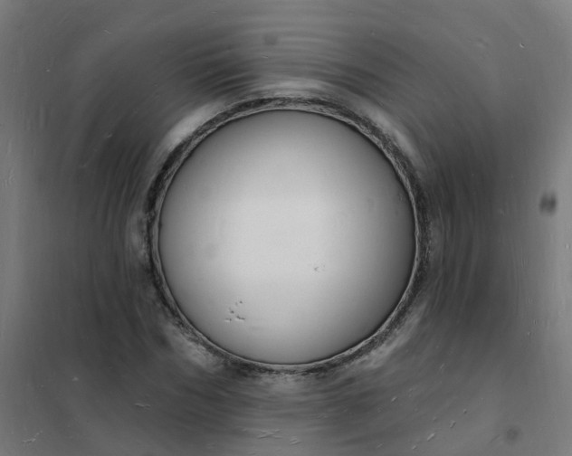 X0000101690970200807241405