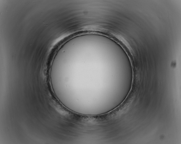 X0000101690971200807241405