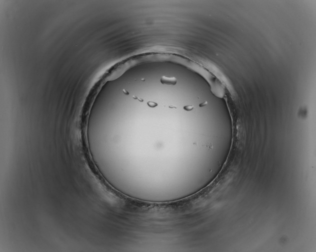 X0000101690972200807241405