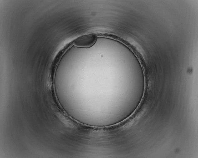 X0000101690973200807241405