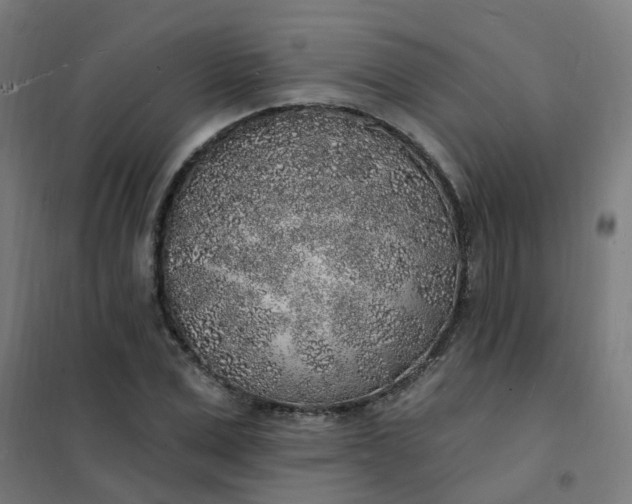 X0000101690975200807241405