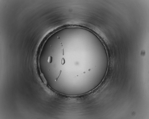 X0000101690976200807241405