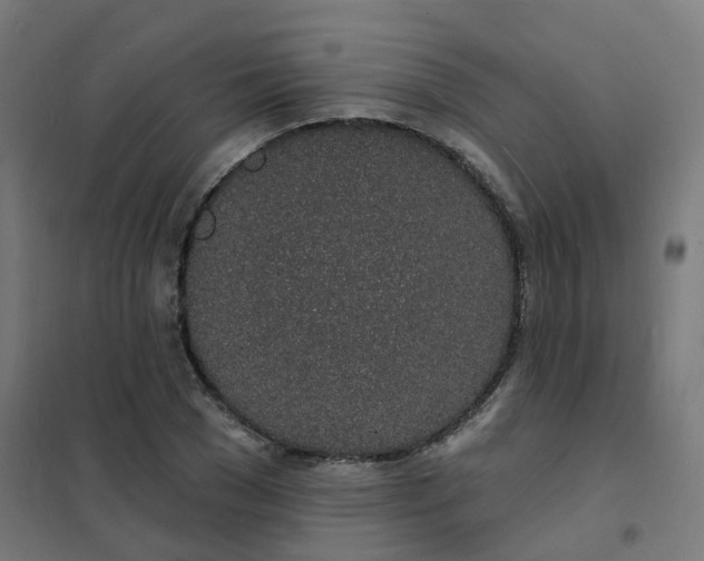 X0000101690977200807241405