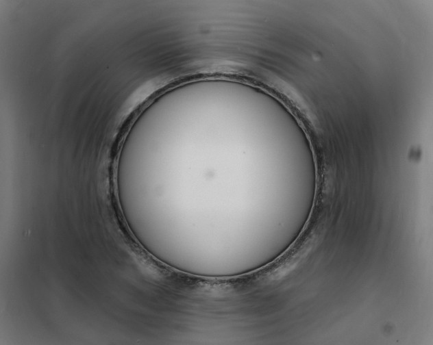 X0000101690978200807241405