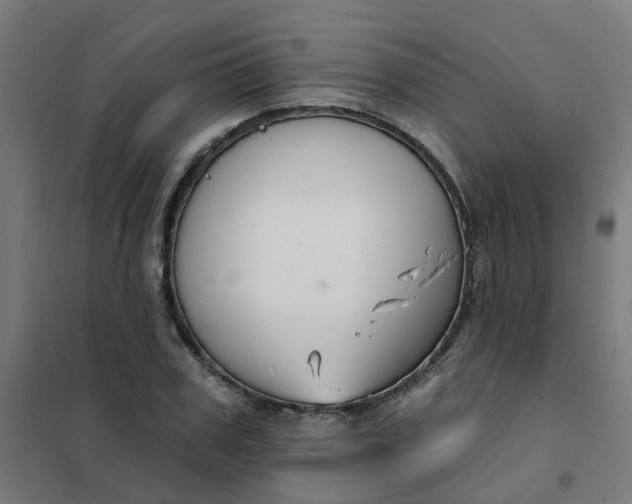 X0000101690979200807241405