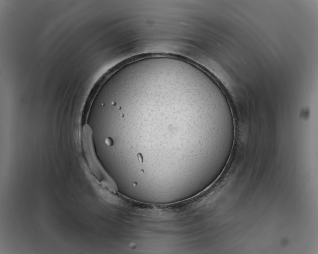 X0000101690980200807241405