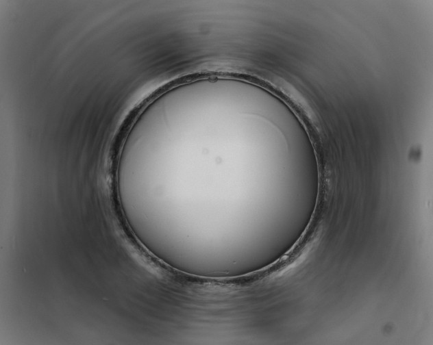 X0000101690981200807241405