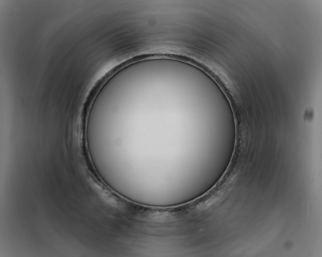 X0000101690982200807241405