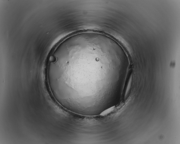 X0000101690983200807241405