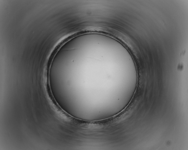 X0000101690984200807241405