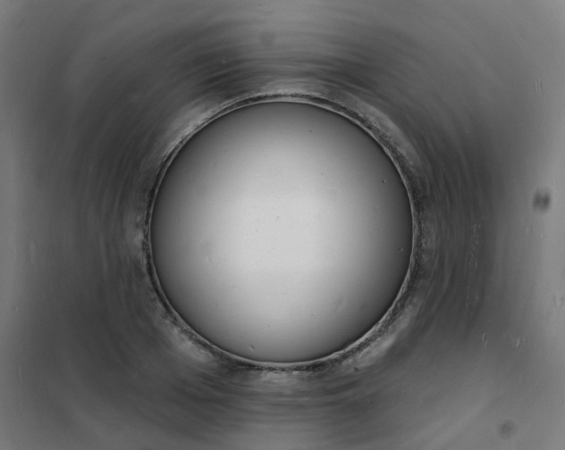 X0000101690985200807241405