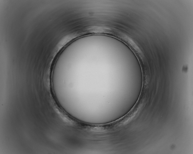 X0000101690986200807241405