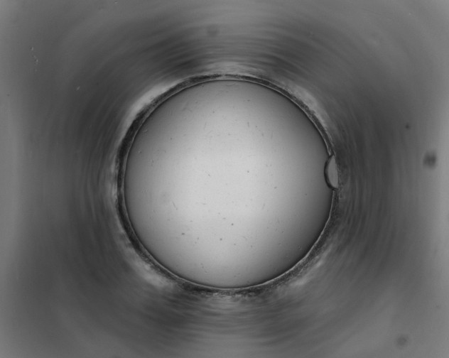 X0000101690987200807241405