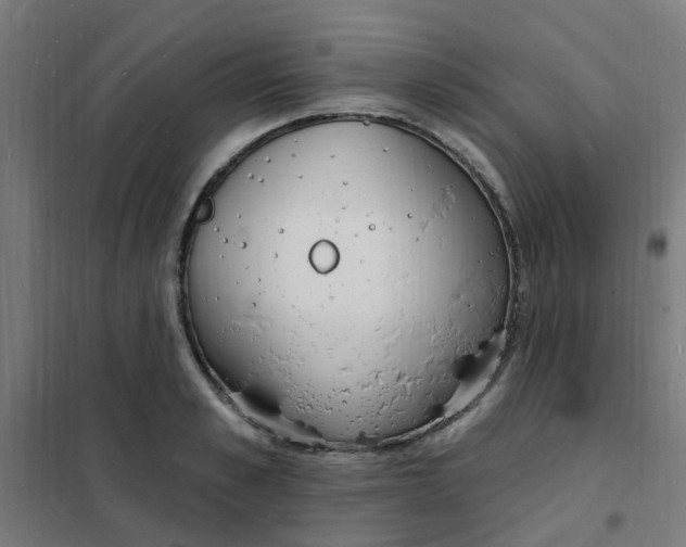 X0000101690989200807241405