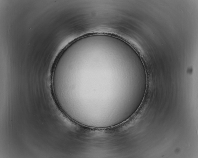 X0000101690990200807241405