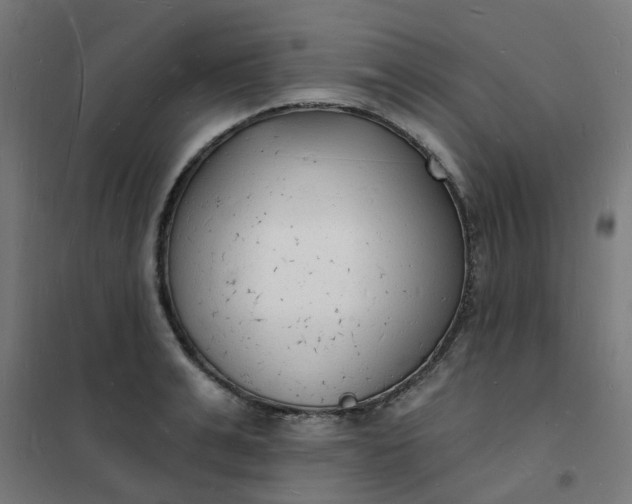 X0000101690991200807241405