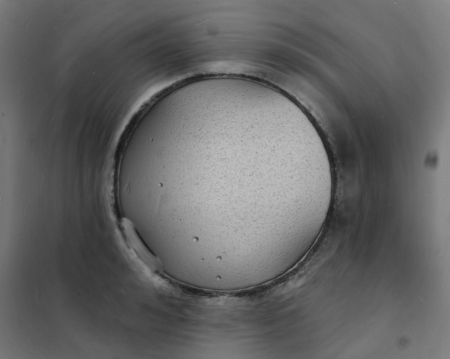 X0000101690992200807241405