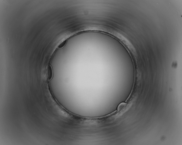 X0000101690993200807241405