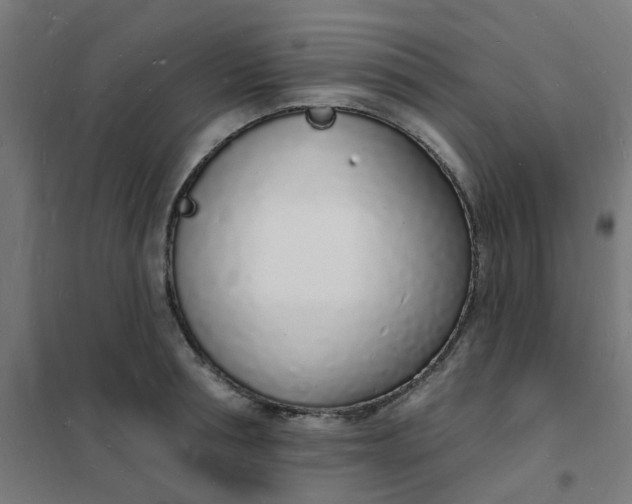 X0000101690994200807241405