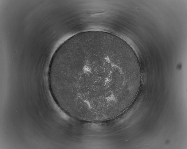 X0000101690995200807241405