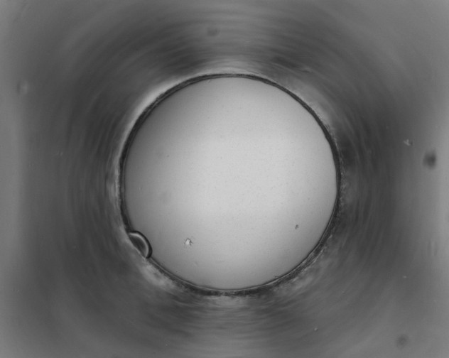 X0000101690996200807241405