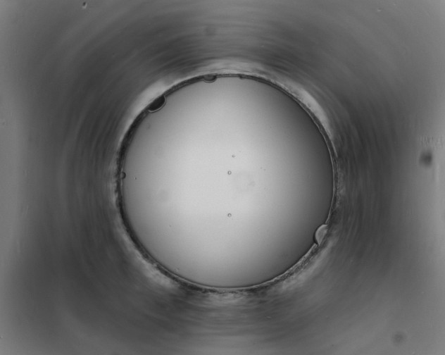 X0000101690997200807241405