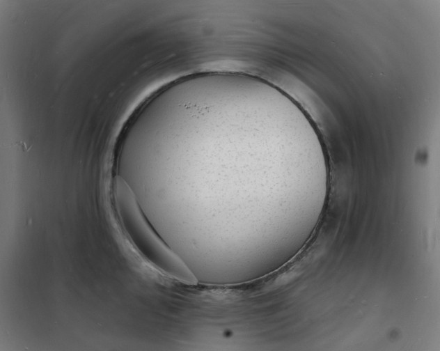 X0000101691000200807241405