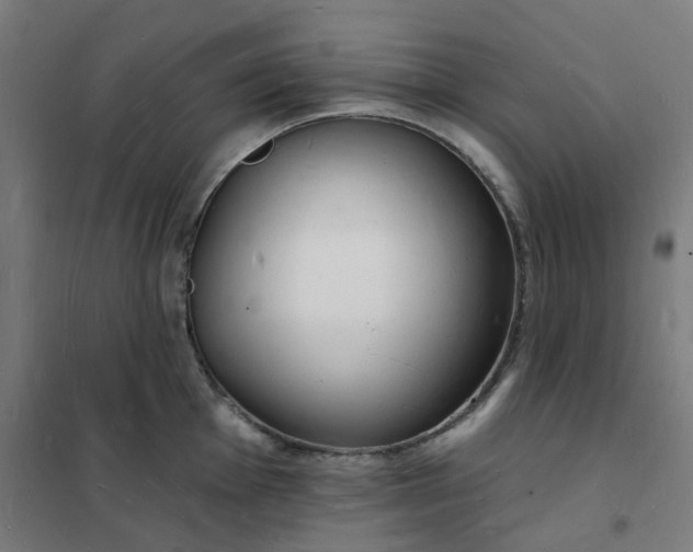 X0000101691001200807241405