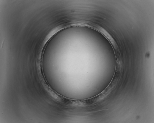 X0000101691002200807241405