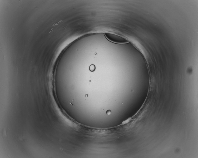 X0000101691003200807241405