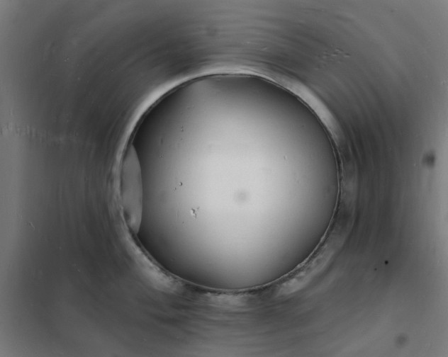 X0000101691004200807241405