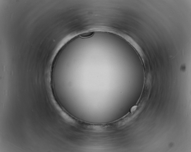 X0000101691005200807241405