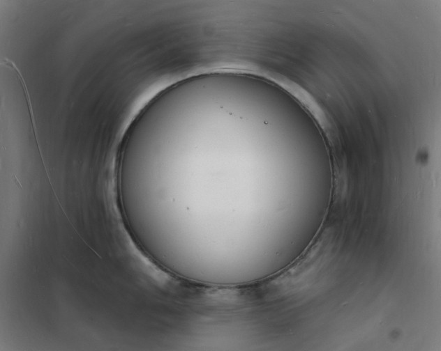 X0000101691006200807241405