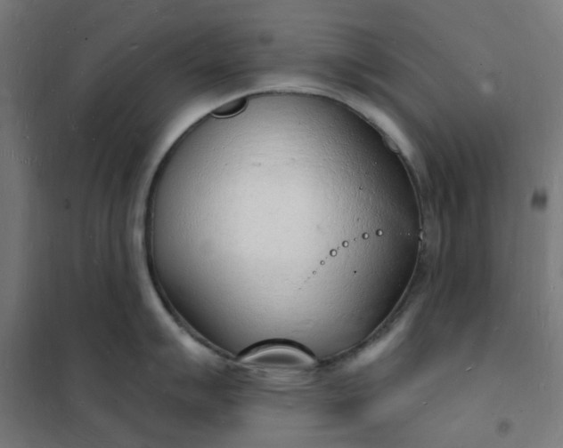 X0000101691007200807241405