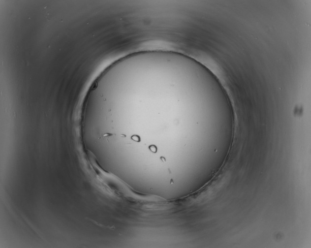 X0000101691008200807241405