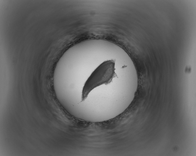 X0000101691009200807241404