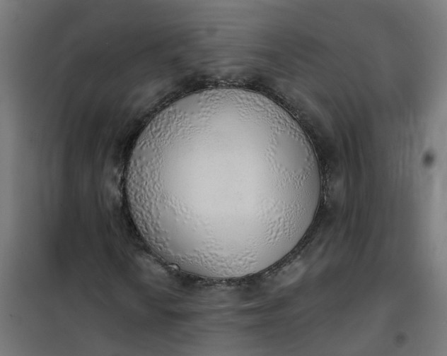 X0000101691010200807241404