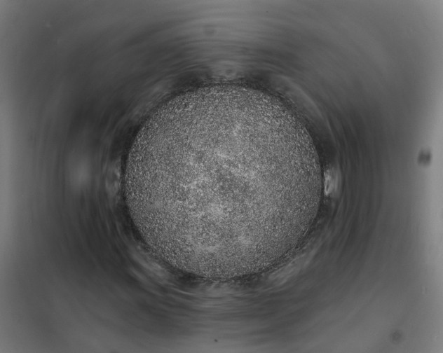 X0000101691011200807241404