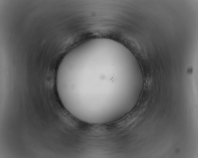 X0000101691012200807241404