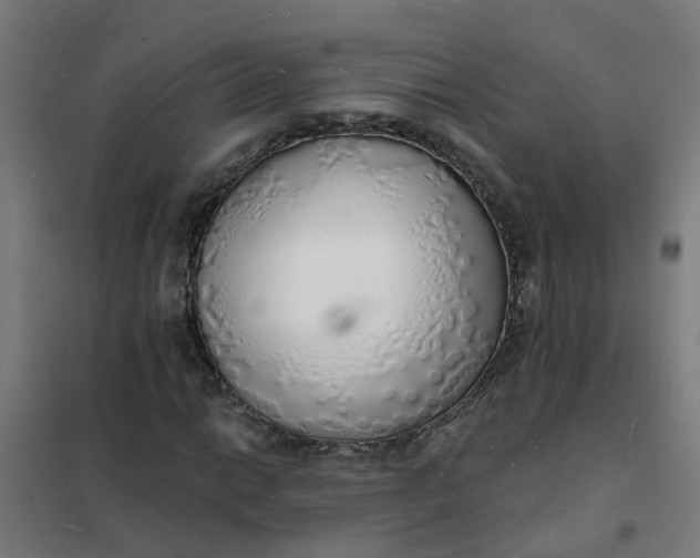 X0000101691014200807241404