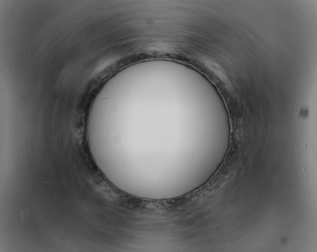 X0000101691015200807241404