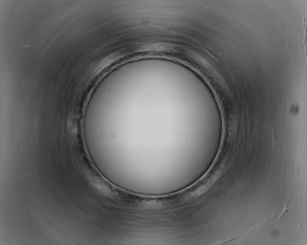 X0000101691017200807241404