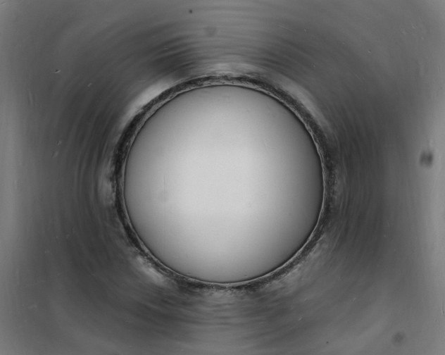 X0000101691018200807241404