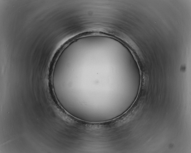 X0000101691020200807241404