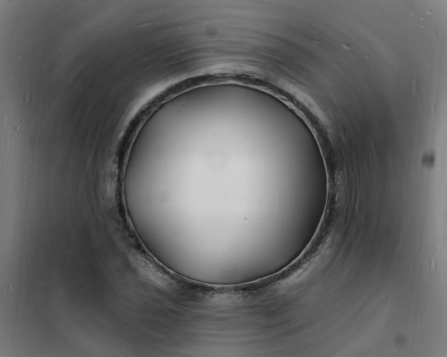 X0000101691021200807241404