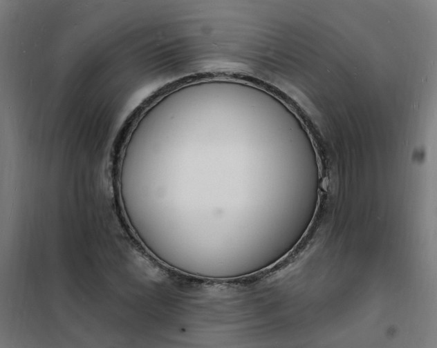 X0000101691022200807241404