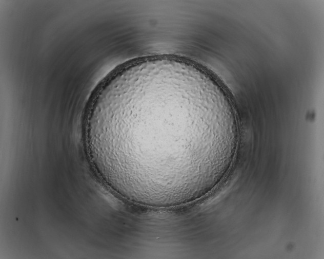 X0000101691023200807241404