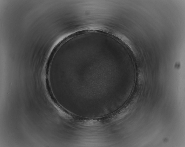 X0000101691024200807241404