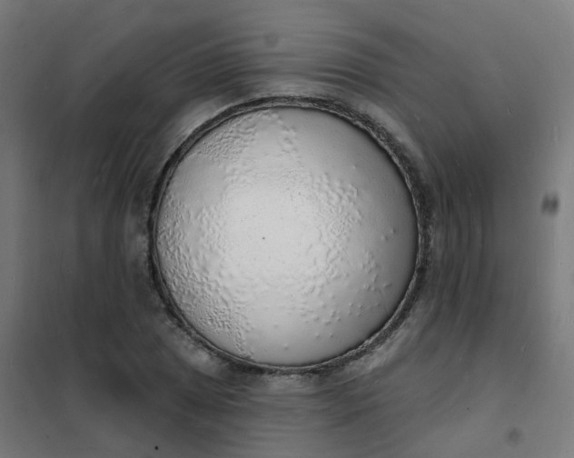 X0000101691025200807241404